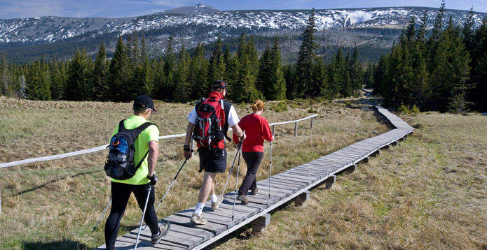 Nordic Walking