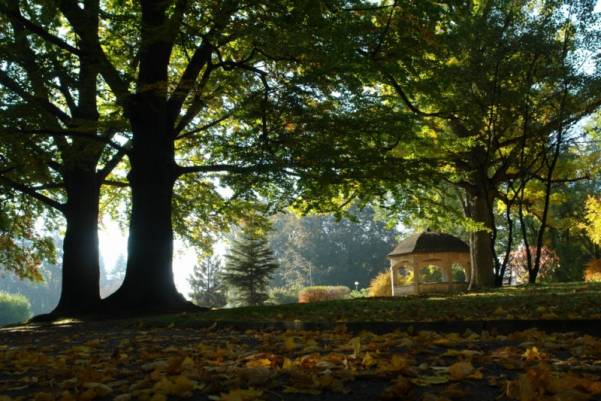 Park Zdrojowy