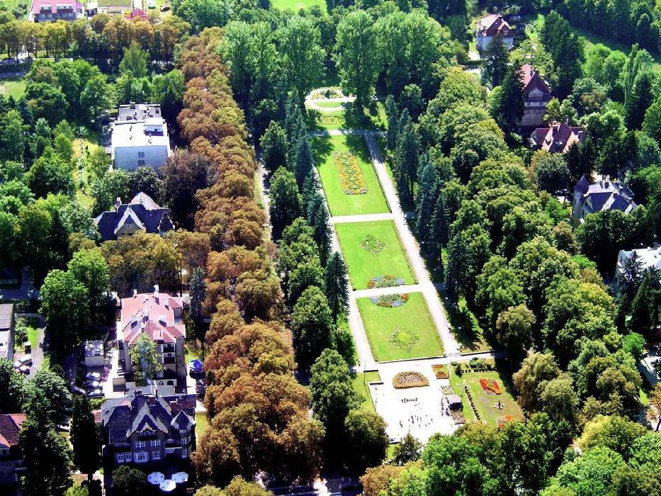 Polonica Zdr&oacute;j